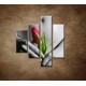 Obrazy na stenu - Mokré dievča s tulipánom - 4dielny 80x90cm