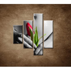 Obrazy na stenu - Mokré dievča s tulipánom - 4dielny 80x90cm