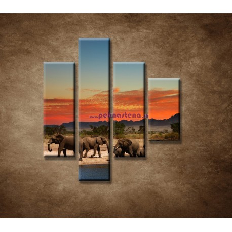 Obrazy na stenu - Safari - 4dielny 80x90cm