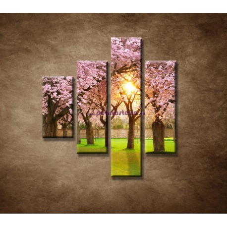 Obrazy na stenu - Kvitnúce čerešne - 4dielny 80x90cm