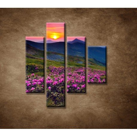 Obrazy na stenu - Západ slnka 2 - 4dielny 80x90cm
