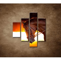 Obrazy na stenu - Kôň v stajni - 4dielny 80x90cm