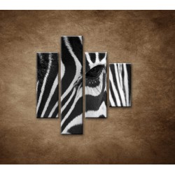 Obrazy na stenu - Zebra - oko - 4dielny 80x90cm