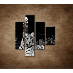 Obrazy na stenu - Mestský tiger - 4dielny 80x90cm