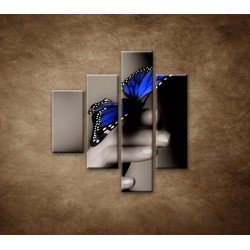Obrazy na stenu - Modrý motýľ - 4dielny 80x90cm