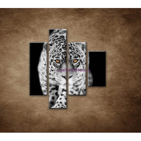 Obrazy na stenu - Čiernobiely jaguár - 4dielny 80x90cm