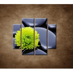 Obrazy na stenu - Žlto-zelený kvet - 4dielny 100x90cm