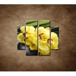 Obrazy na stenu - Žltá orchidea s kameňmi - 4dielny 100x90cm