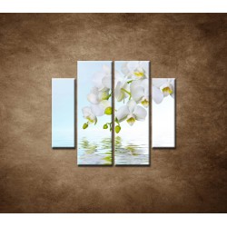Obrazy na stenu - Biela orchidea nad hladinou - 4dielny 100x90cm