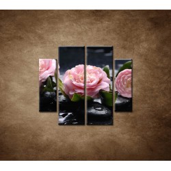 Obrazy na stenu - Kvety kamélie a kamene - 4dielny 100x90cm