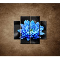 Obrazy na stenu - Modrý kvet na kameňoch - 4dielny 100x90cm
