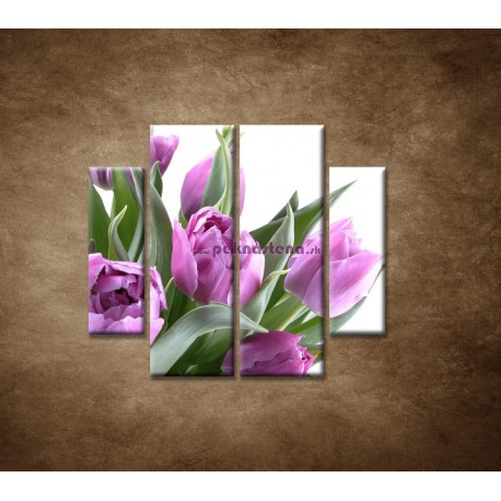 Obrazy na stenu - Nežné tulipány - 4dielny 100x90cm