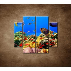 Obrazy na stenu - Podmorský svet - 4dielny 100x90cm