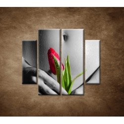 Obrazy na stenu - Mokré dievča s tulipánom - 4dielny 100x90cm