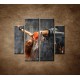 Obrazy na stenu - Tanečnica - 4dielny 100x90cm