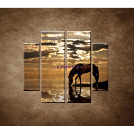Obrazy na stenu - Kôň pri jazere - 4dielny 100x90cm