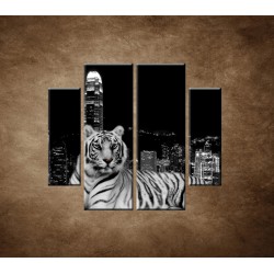 Obrazy na stenu - Mestský tiger - 4dielny 100x90cm