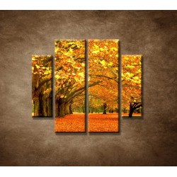 Obrazy na stenu - Park - 4dielny 100x90cm