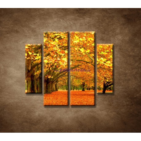 Obrazy na stenu - Park - 4dielny 100x90cm