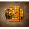 Obrazy na stenu - Park - 4dielny 100x90cm