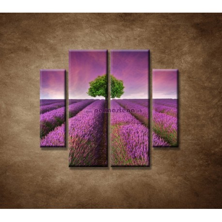 Obrazy na stenu - Levanduľové pole - 4dielny 100x90cm