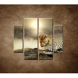 Obrazy na stenu - Odpočívajúci leopard - 4dielny 100x90cm