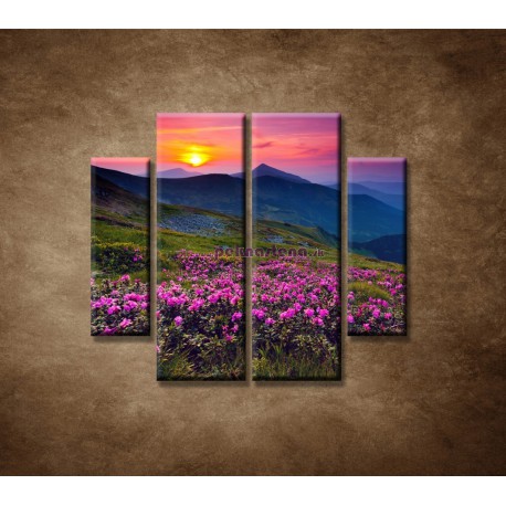 Obrazy na stenu - Západ slnka 2 - 4dielny 100x90cm