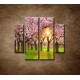 Obrazy na stenu - Kvitnúce čerešne - 4dielny 100x90cm