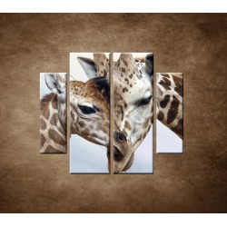 Obrazy na stenu - Žirafy - 4dielny 100x90cm