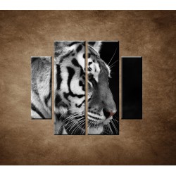 Obrazy na stenu - Tiger - detail - 4dielny 100x90cm