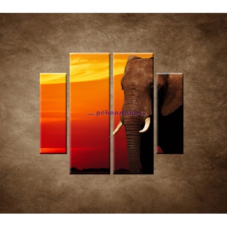 Obrazy na stenu - Afrika - 4dielny 100x90cm