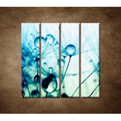 Obrazy na stenu - Kvapky vody na rastline - 4dielny 120x120cm