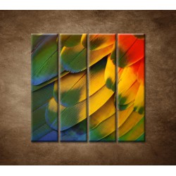 Obrazy na stenu - Farebné perie - 4dielny 120x120cm