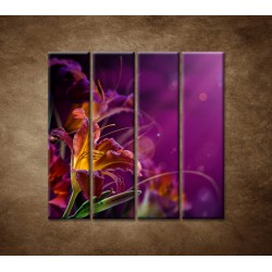 Obrazy na stenu - Fialové kvety - 4dielny 120x120cm