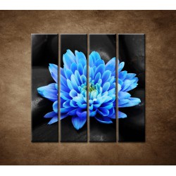 Obrazy na stenu - Modrý kvet na kameňoch - 4dielny 120x120cm