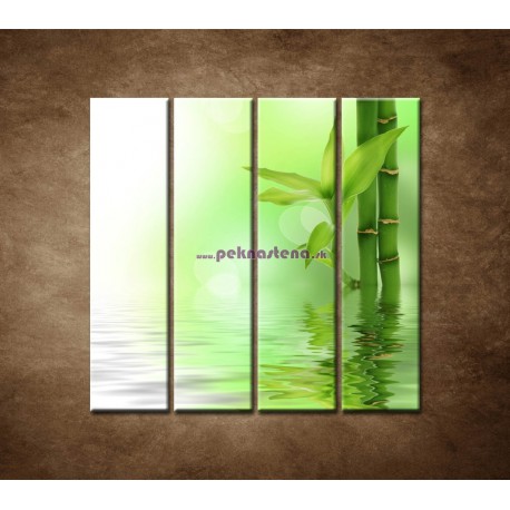 Obrazy na stenu - Bambusový výhonok  - 4dielny 120x120cm