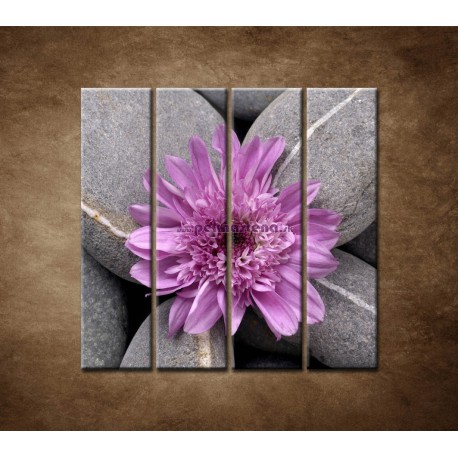 Obrazy na stenu - Sivé kamene s kvetom - 4dielny 120x120cm