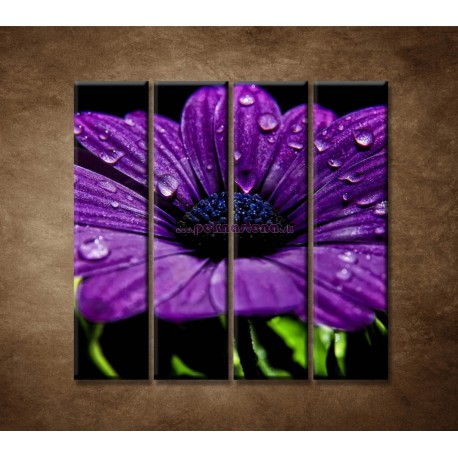 Obrazy na stenu - Fialový kvet - 4dielny 120x120cm