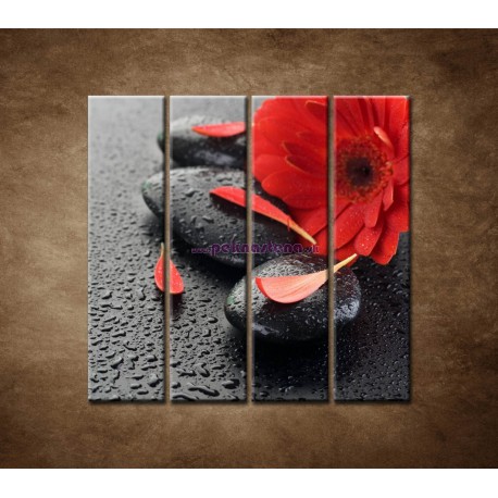 Obrazy na stenu - Červená gerbera a kamene - 4dielny 120x120cm