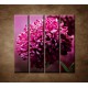 Obrazy na stenu - Kvetinové pozadie - 4dielny 120x120cm