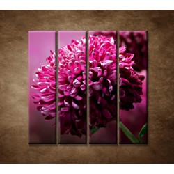 Obrazy na stenu - Kvetinové pozadie - 4dielny 120x120cm