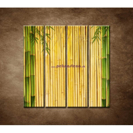 Obrazy na stenu - Bambusové stonky - 4dielny 120x120cm