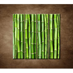 Obrazy na stenu - Bambus - 4dielny 120x120cm