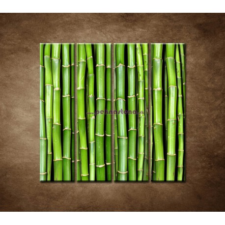 Obrazy na stenu - Bambus - 4dielny 120x120cm