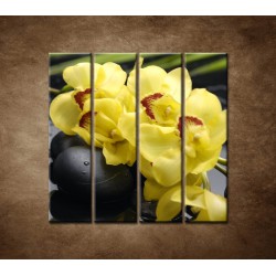 Obrazy na stenu - Žltá orchidea s kameňmi - 4dielny 120x120cm