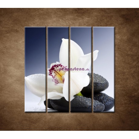 Obrazy na stenu - Biela orchidea na čiernom kameni - 4dielny 120x120cm