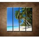 Obrazy na stenu - Pláž s palmami - 4dielny 120x120cm