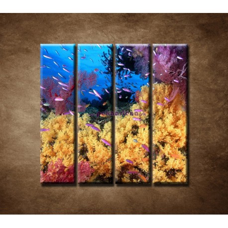 Obrazy na stenu - Korálový útes - 4dielny 120x120cm