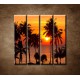 Obrazy na stenu - Západ slnka s palmami - 4dielny 120x120cm