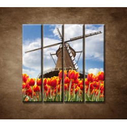 Obrazy na stenu - Mlyn s tulipánmi - 4dielny 120x120cm